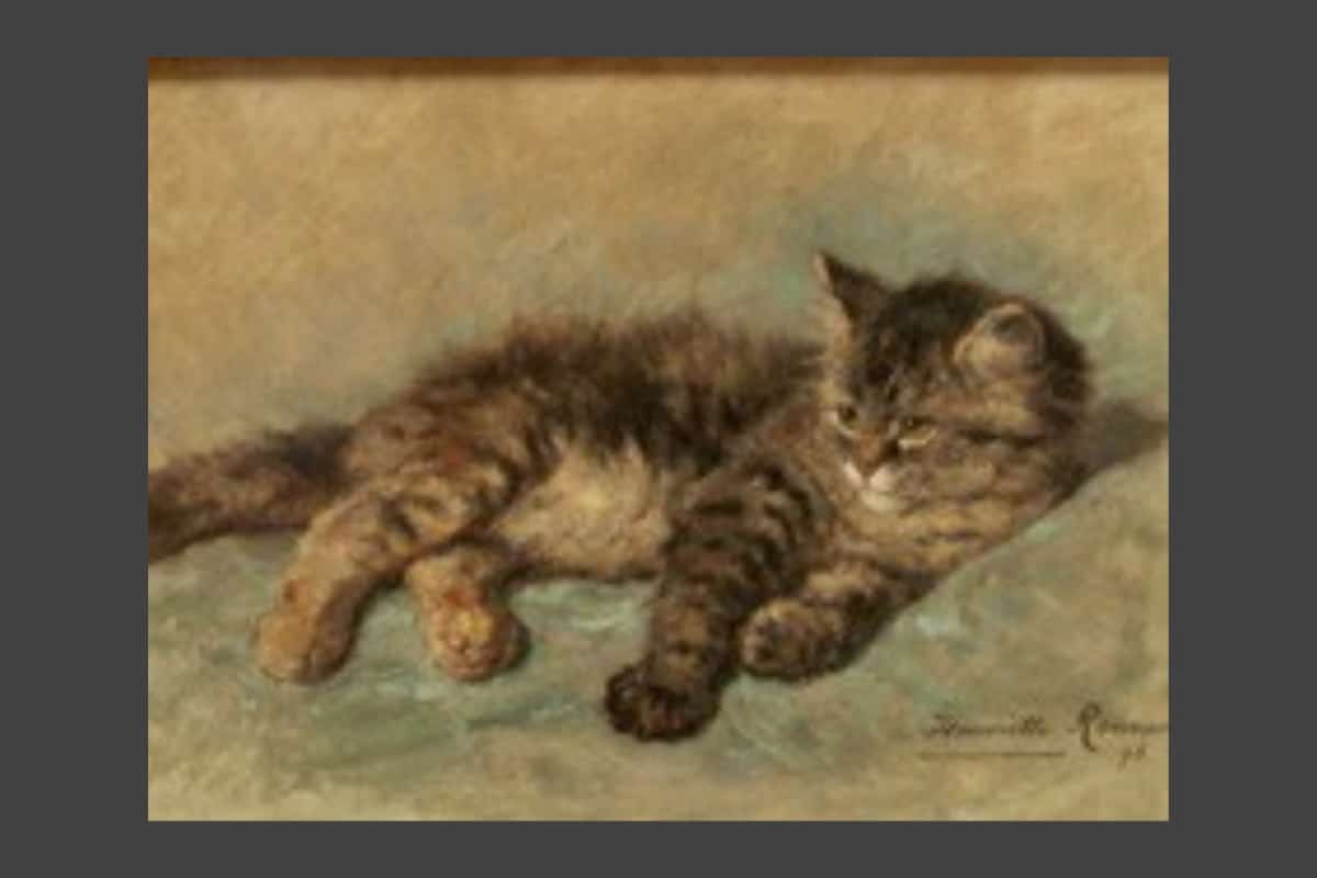 Cat (1896) by Henriette Ronner-Knip