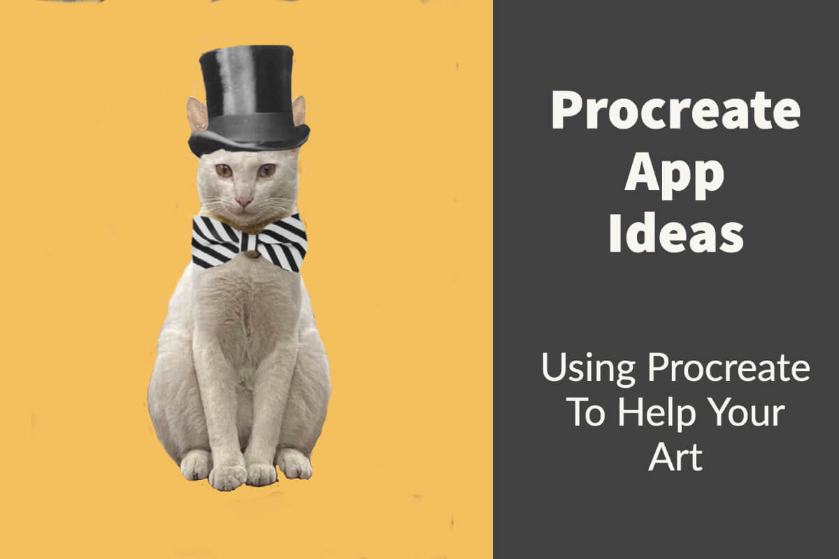 Procreate App Ideas, Using Procreate To Help Your Art