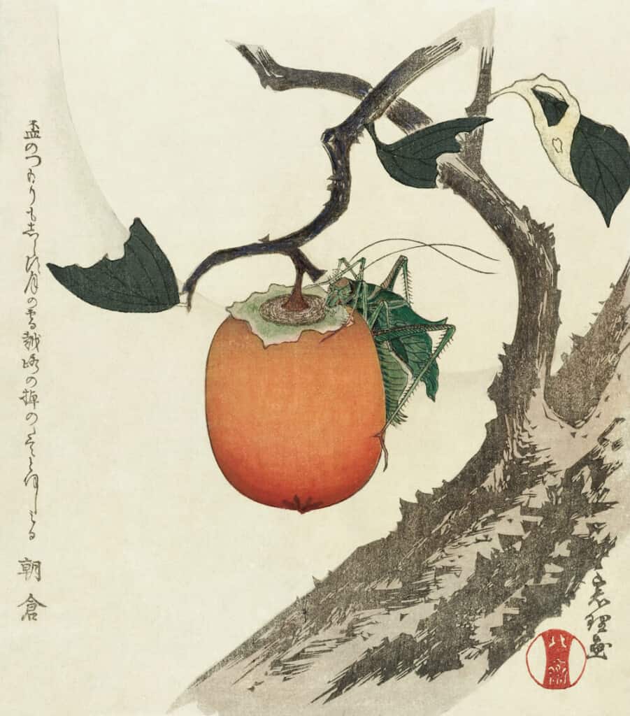 Kakivrucht med Sprinkhaan (ca 1890-1900) by Katsushika Hoksai (Japan)