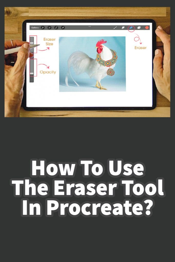 How To Use The Eraser Tool In Procreate? Anita Louise Art