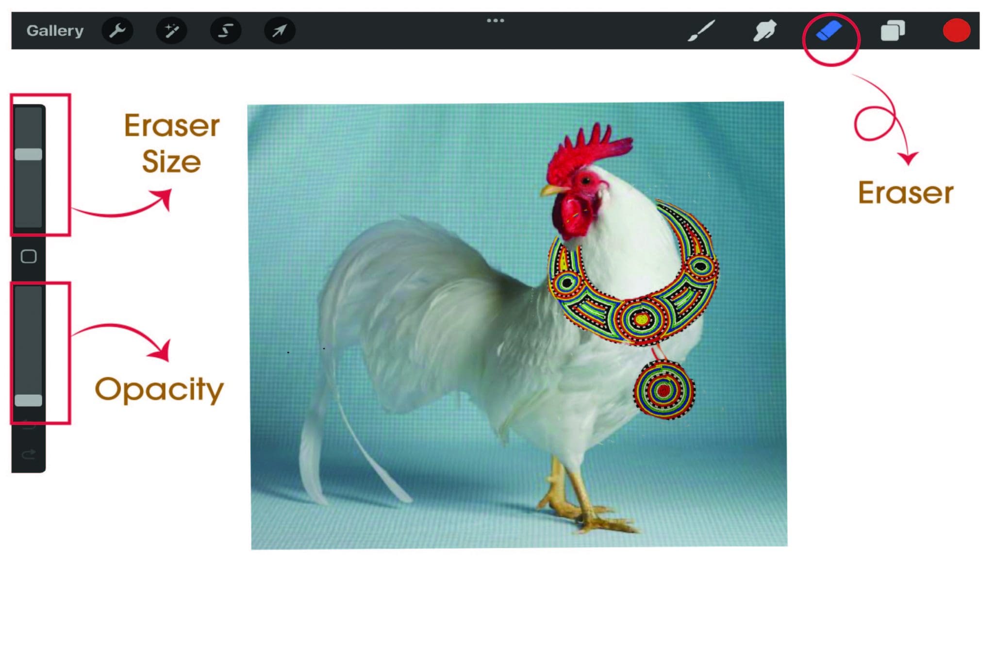 How To Use The Eraser Tool In Procreate? Anita Louise Art