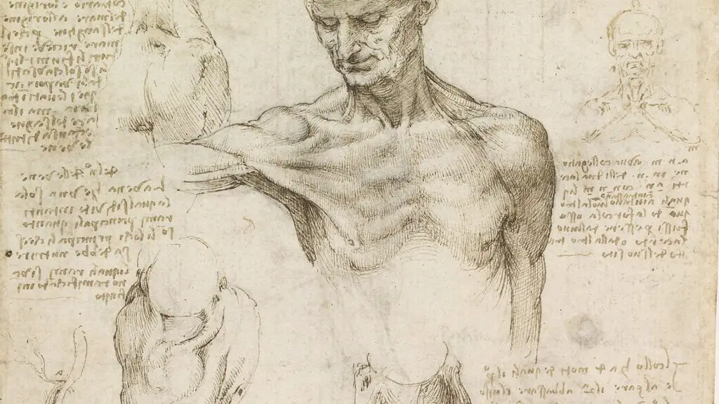 One of the drawings of Leonardo da Vinci during his extensive studies of human anatomy.
