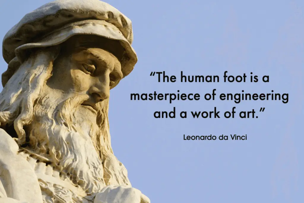 The human foot is a masterpiece of engineering and a work of art.
