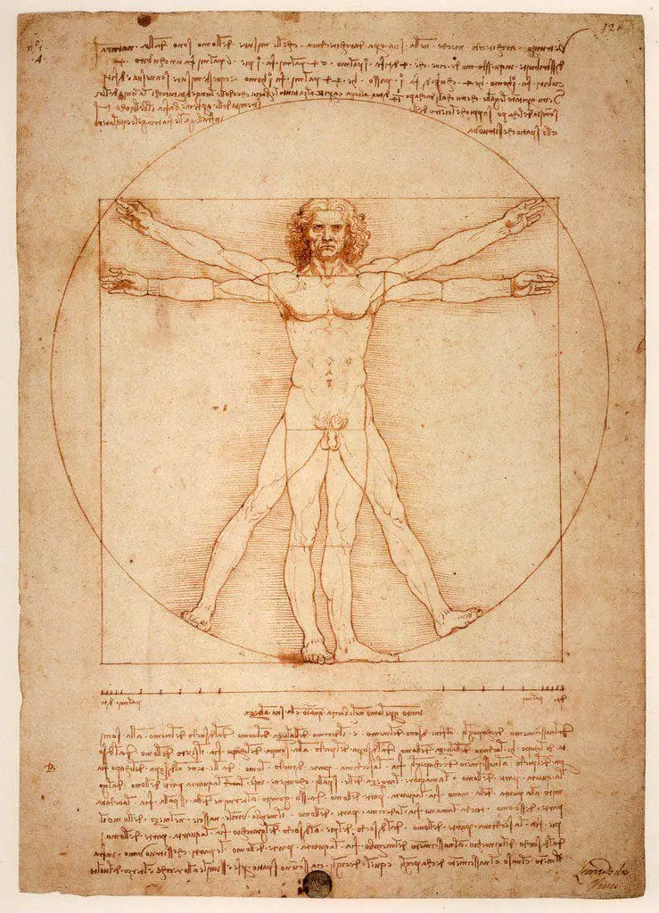 The Vitruvian Man