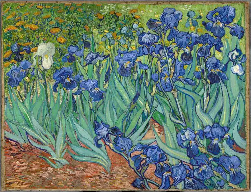 Irises (1889) By Vincent van Gogh