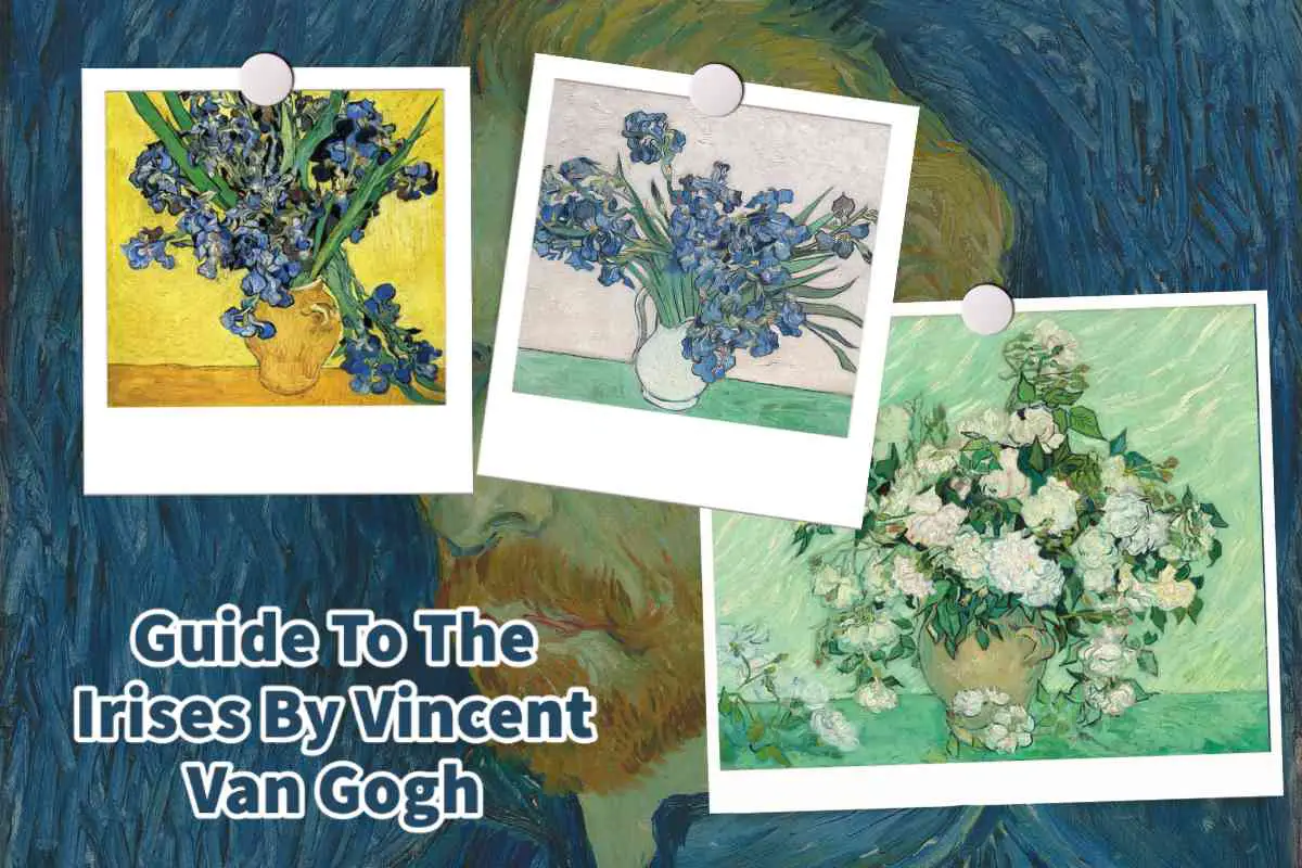 Guide To The Irises By Vincent Van Gogh