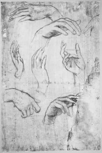 Study of Hands, Leonardo Da Vinci