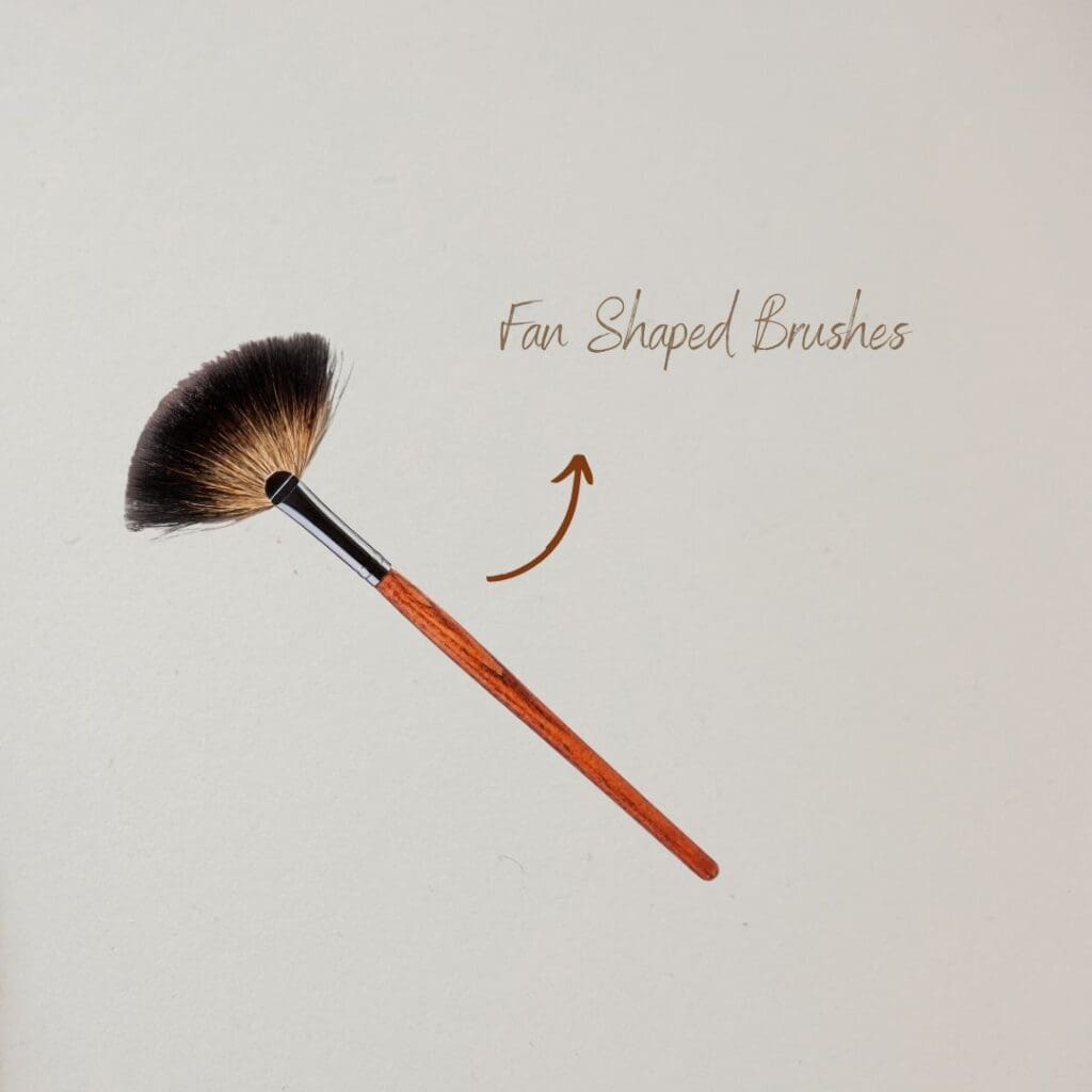 Fan Shaped Brushes