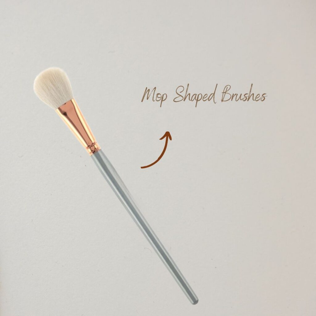 Mop Shaped Brushes