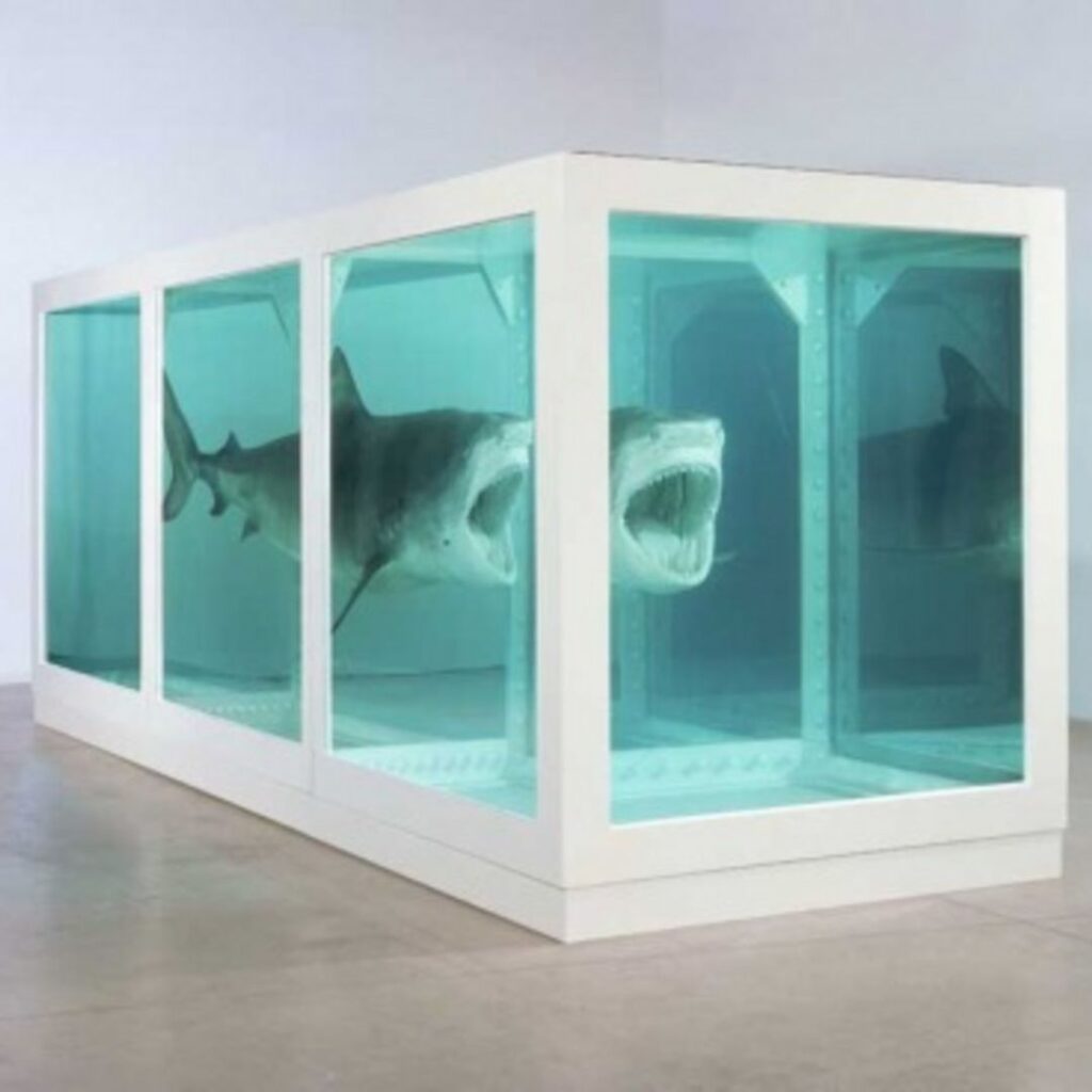 The Physical Impossibility Of Death In The Mind Of Someone Living (1991) By Damien Hirst