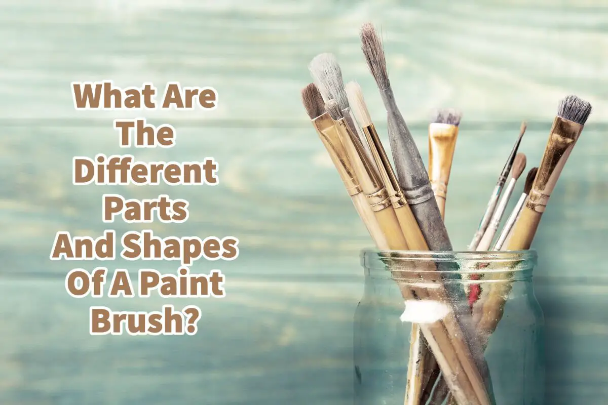 What Are The Different Parts And Shapes Of A Paint Brush?