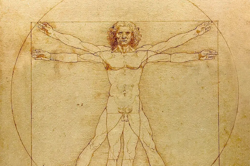 Sketches of Leonardo da Vinci