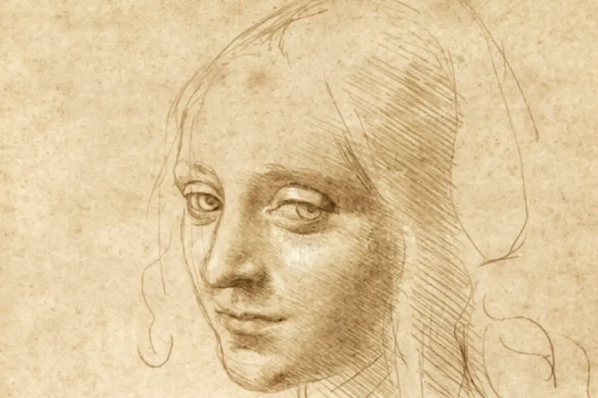 Exploring Da Vinci’s Sketches: An Artistic Sojourn