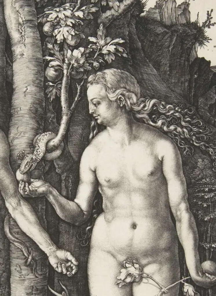 Eve in Adam in Painting of Adam and Eve (1504 ) By Albrecht Dürer