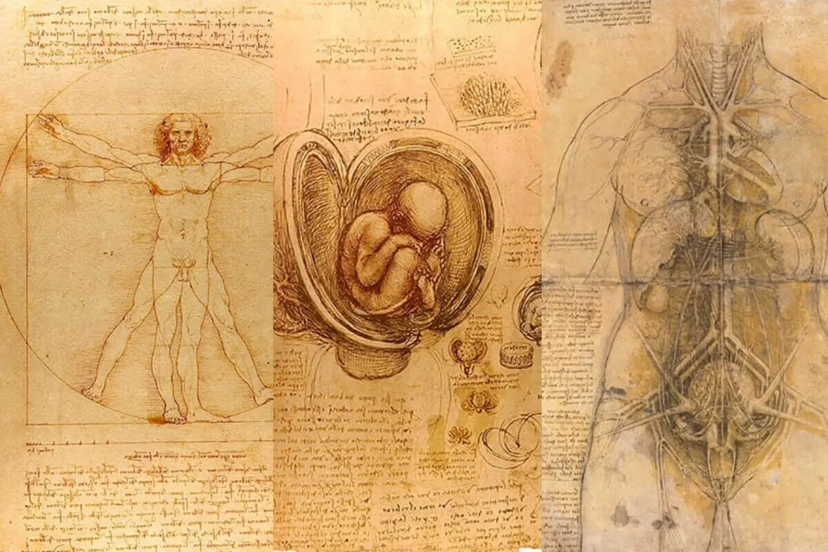 Unlocking Secrets: A Deep Dive into Da Vinci’s Notebooks