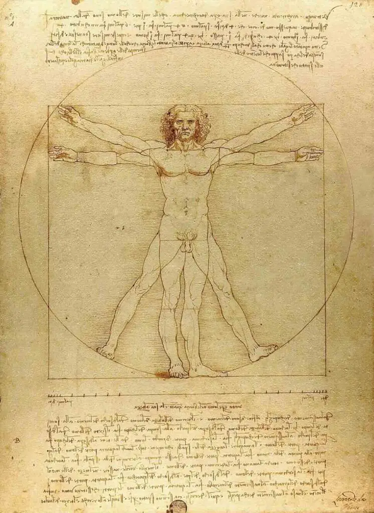 Vitruvian Man By Leonardo da Vinci