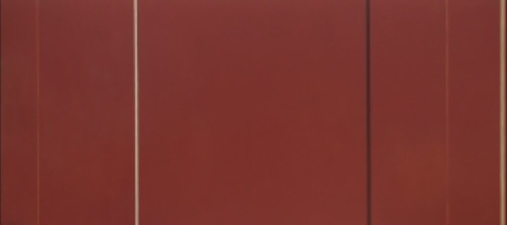 Vir heroicus sublimis (1950-1951) by Barnett Newman 