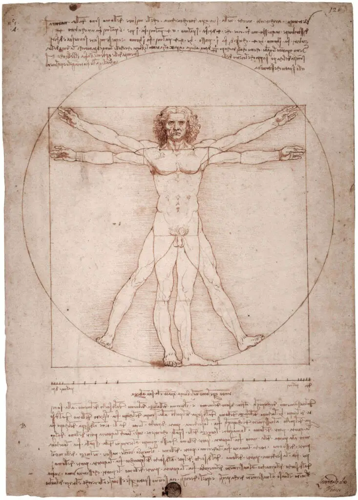 The The Vitruvian Man (c. 1490) By Leonardo da Vinci