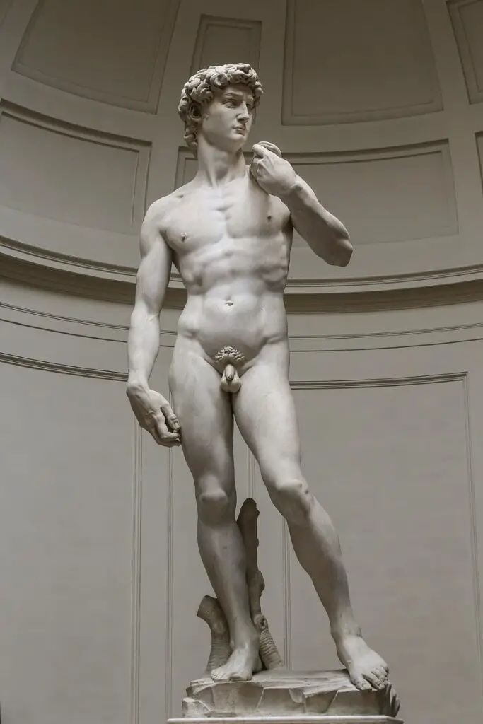 David (1501-1504) by Michelangelo