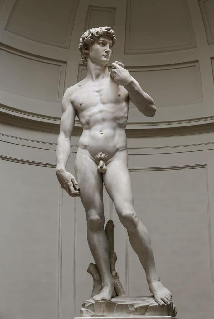 David (1501 – June 8, 1504) By Michelangelo