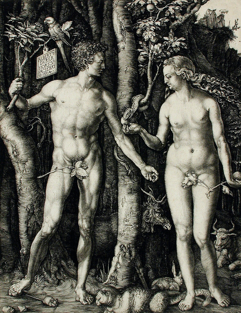 Albrecht Dürer’s "Adam and Eve" (1504) - Engraving (24.92 x 19.21 cm) | Art Museum Council Fund, LACMA