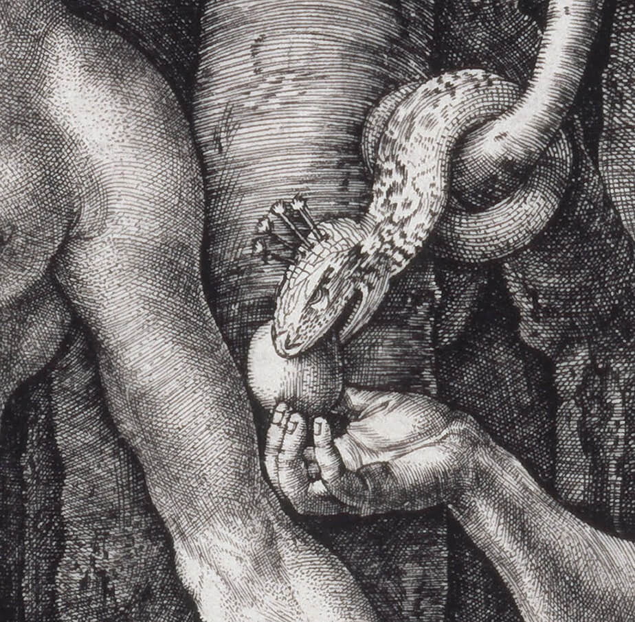 Albrecht Dürer’s "Adam and Eve" (1504) - Engraving (24.92 x 19.21 cm) | Art Museum Council Fund, LACMA