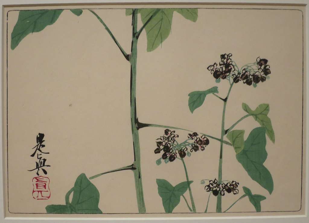 Hydrangae by Shibata Zeshin