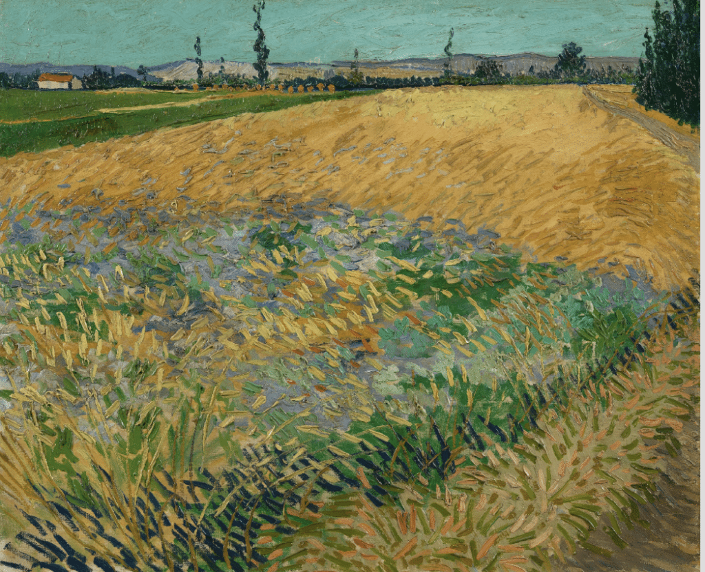 Wheatfield, Vincent van Gogh (1853 - 1890), Arles, June 1888