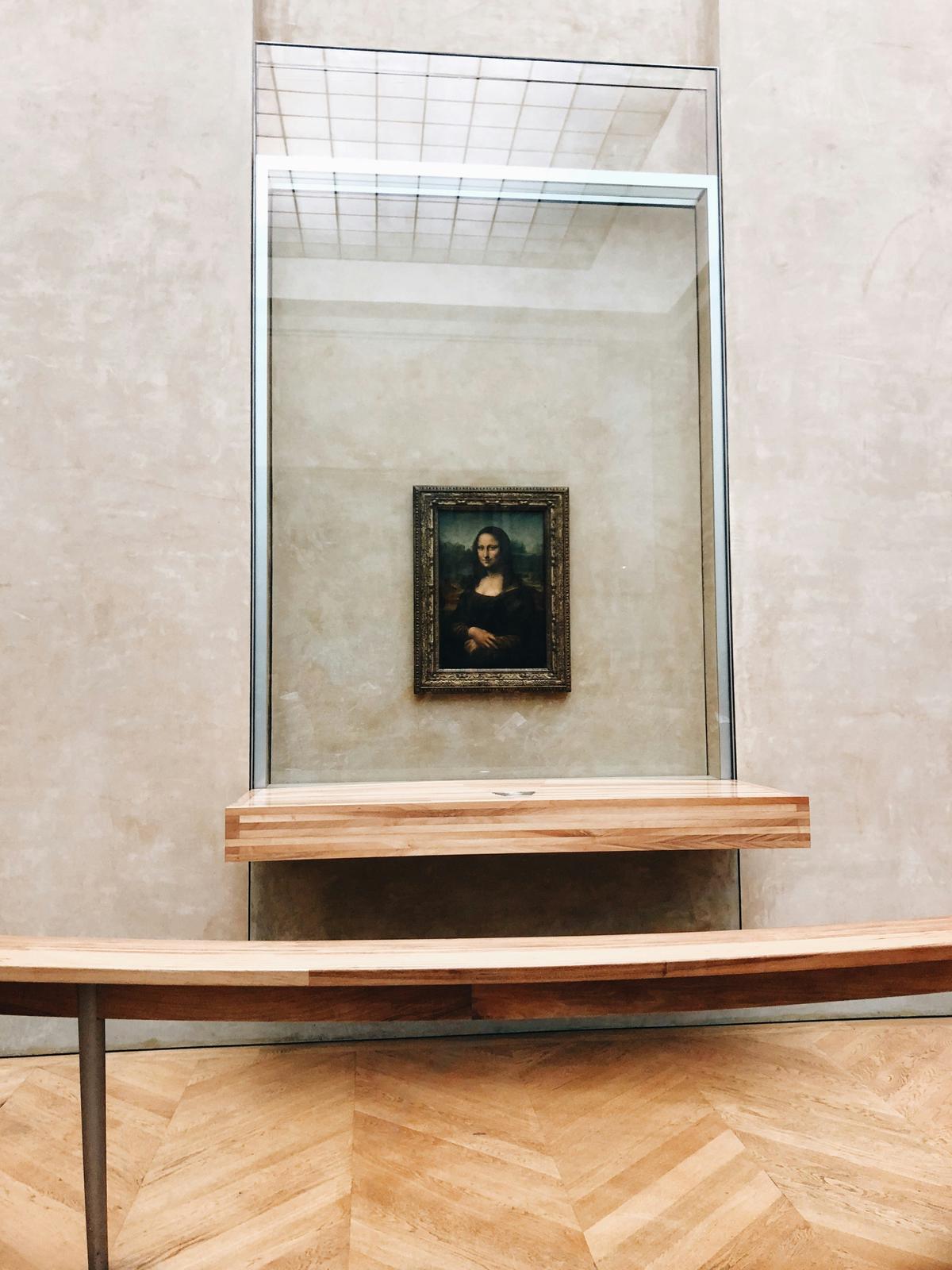 A detailed portrait of Leonardo da Vinci's artwork, showcasing his remarkable skill and innovation.