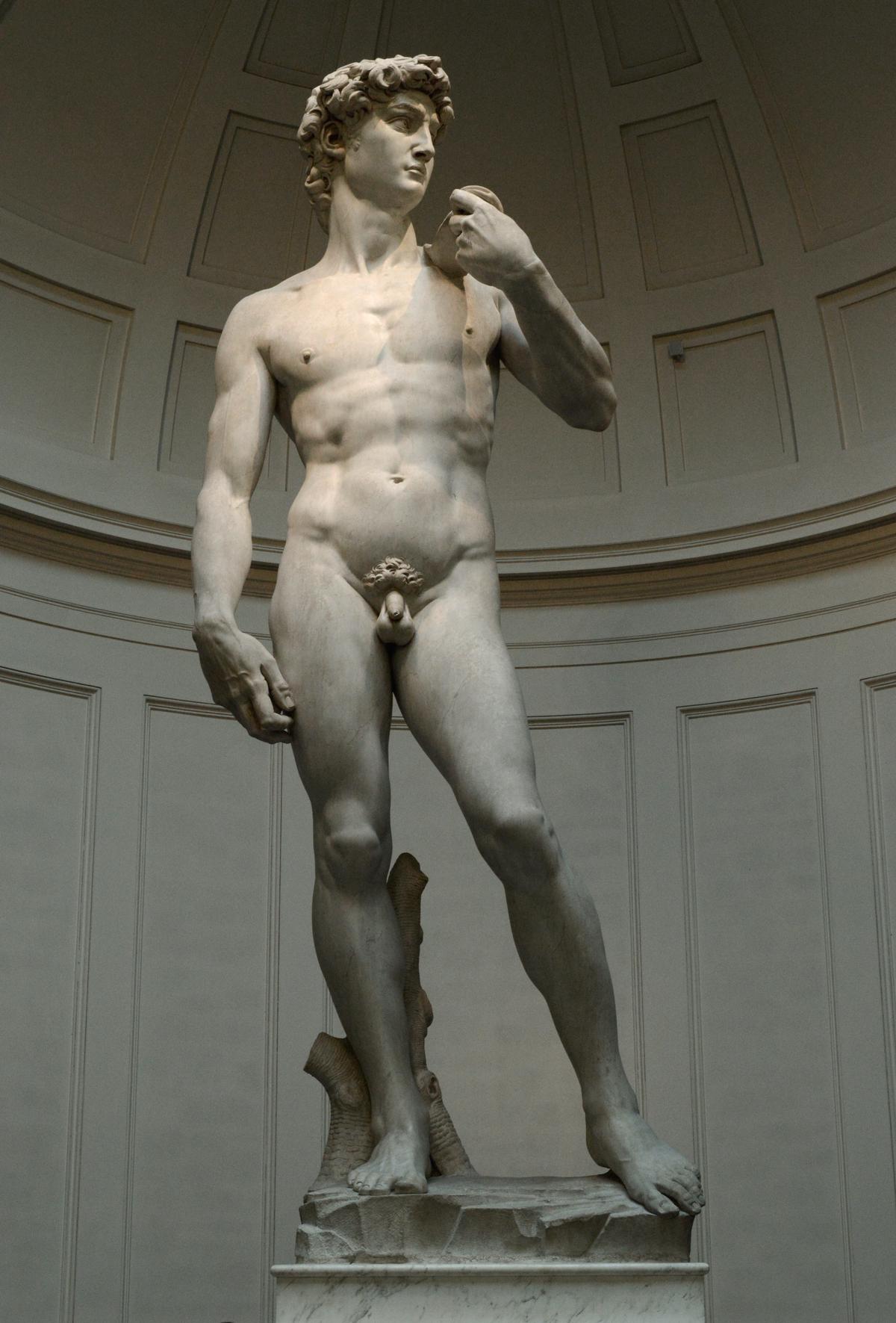 A collection of Michelangelo's sculptures, showcasing David, Moses, The Dying Slave, and The Rebellious Slave, among others.